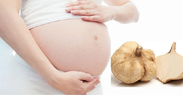 Lợi ích của củ đậu đối với phụ nữ mang thai